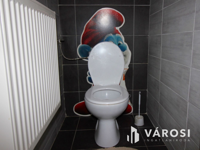 Hatalmas polgári ház és gazdasági terület