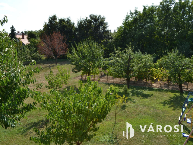 Csopakon, patakparti nívós ingatlan eladó!