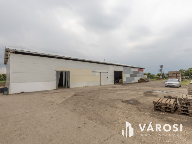 Makói, mezőgazdasági tanya/telephely eladó!