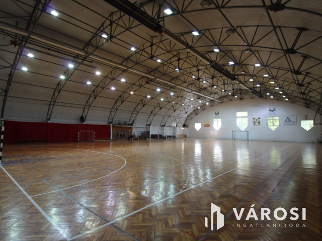 Békéscsabai paradicsom