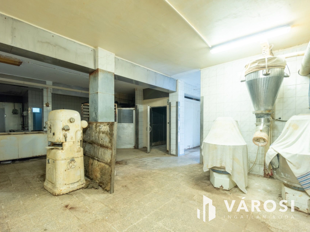 Balatonendrédi ipari ingatlan akár befektetésnek is