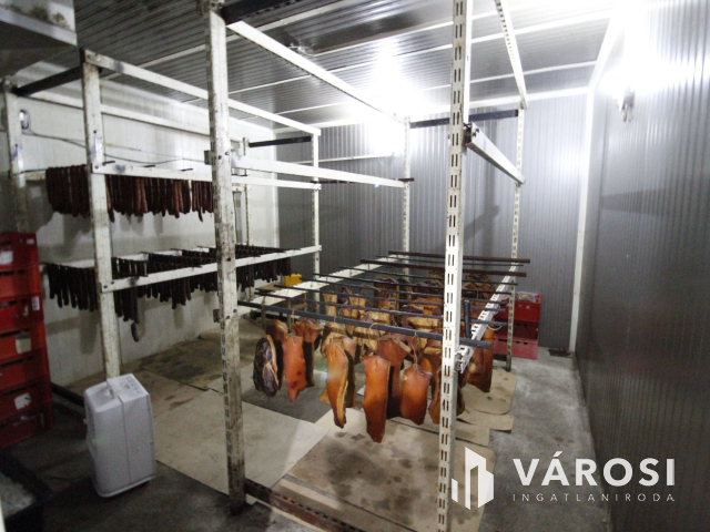 Szabad tartású mangalica telep, kiváló befektetési lehetőség