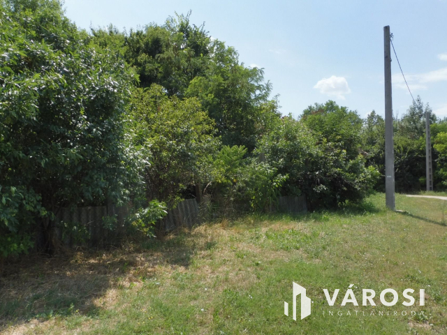 Szőregen természet közeli osztható sarki telek eladó.