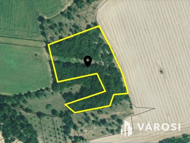 Erdősmárok közelében erdő terület eladó