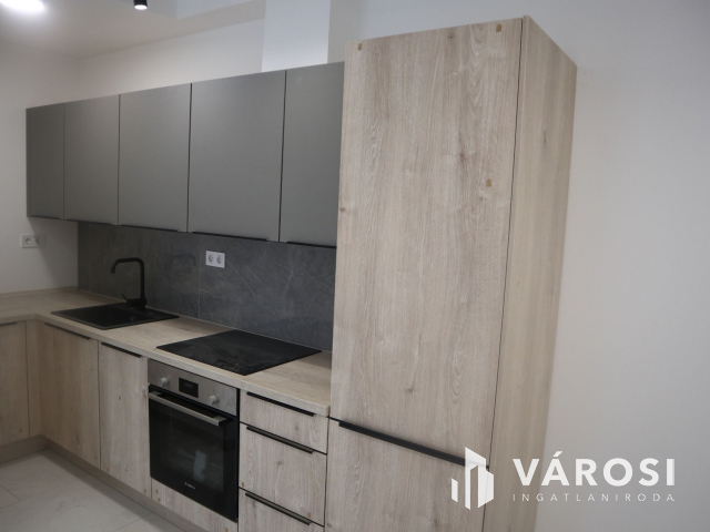 Új építésű belvárosi lakás nagy terasszal! 2.