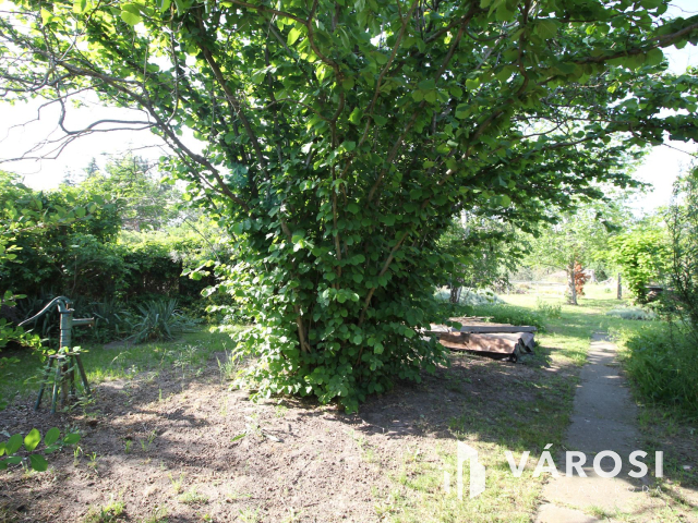 Ha már unja a város zaját…