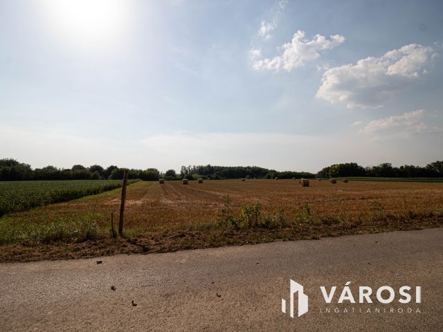 2 zártkerti ingatlan egyben