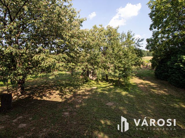 2 zártkerti ingatlan egyben