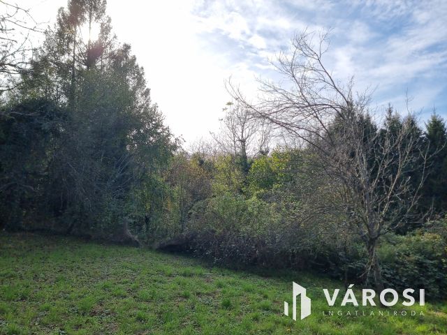 Fásított terület, kedvező áron eladó