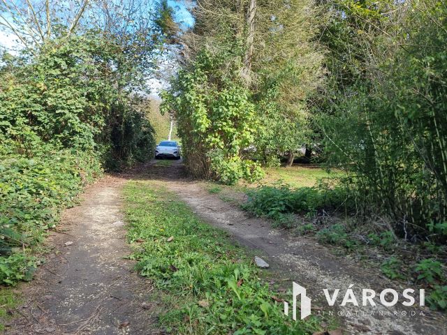 Fásított terület, kedvező áron eladó