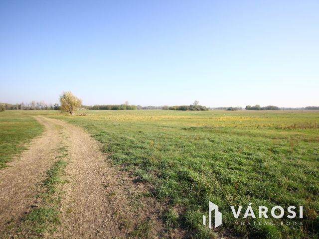 Balástyai tanyáknál