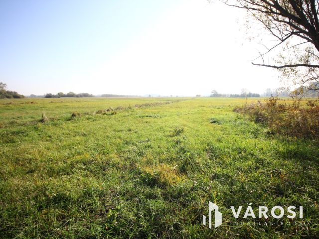 Balástyai tanyáknál