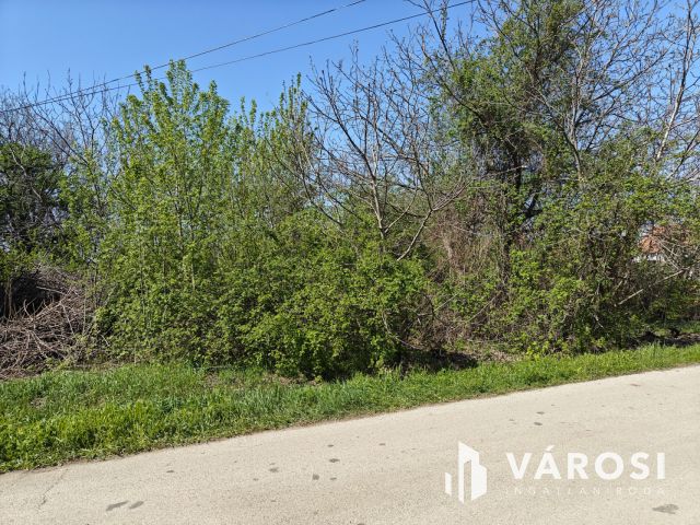 Eladó telek, Makón a Tatár utcában!