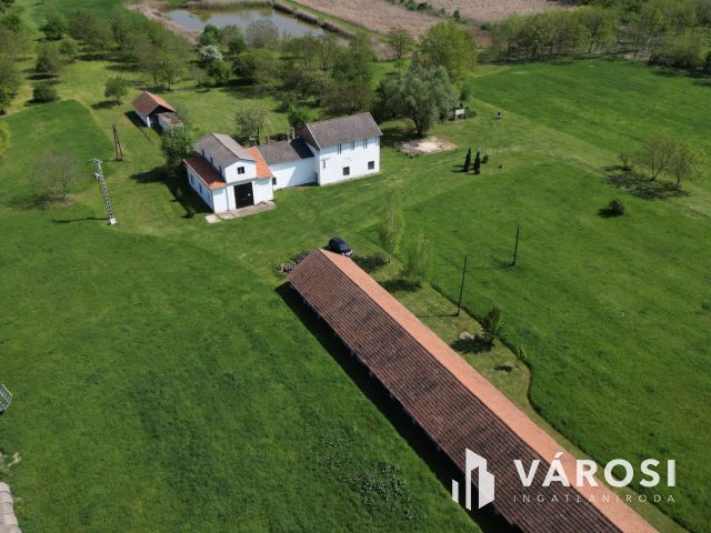 Eladó „hacienda”  Battonyán