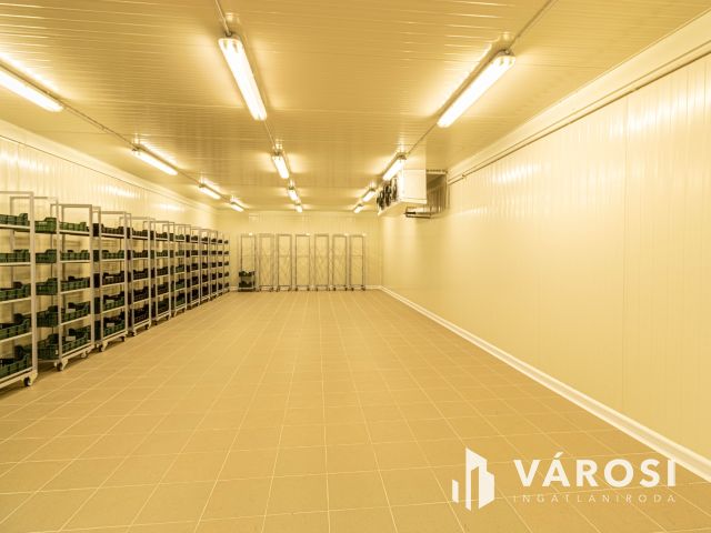 Kiváló befektetési lehetőség Körösújfaluban.