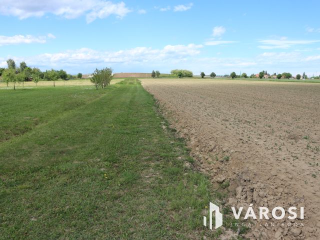 Körmend-H.nádalja Belterületi üres beépíthető telek 3693m2