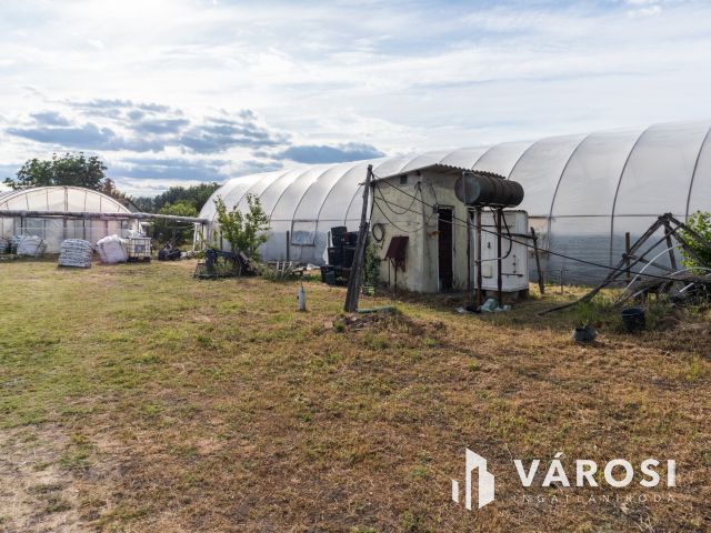 Erdészház utcai gazdaság Eladó