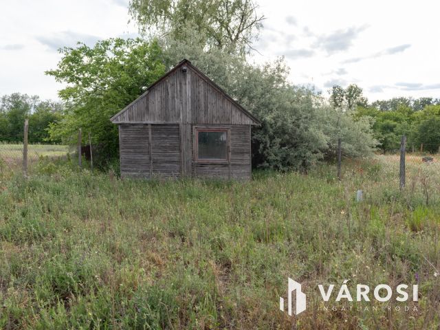 Sándorfalván Szántó eladó akár osztható is