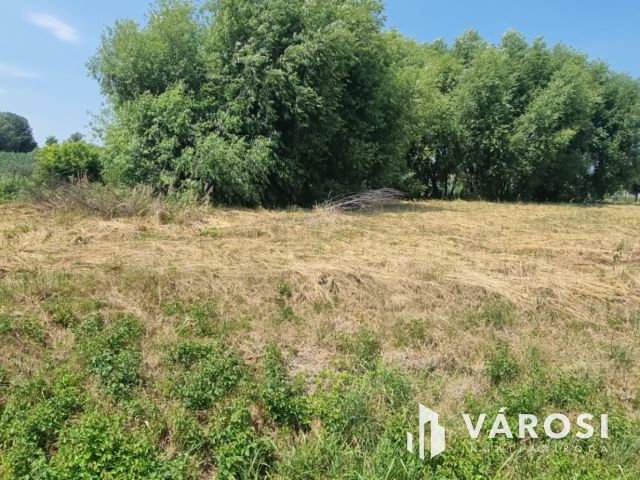 Kedvező áron építési telek eladó Kiskanizsán!