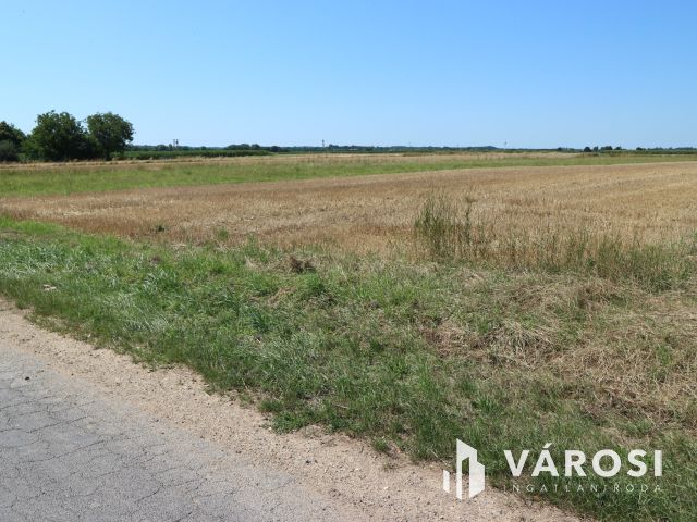 Egyházashollós ,belterületi üres telkek eladók 3x2100m2