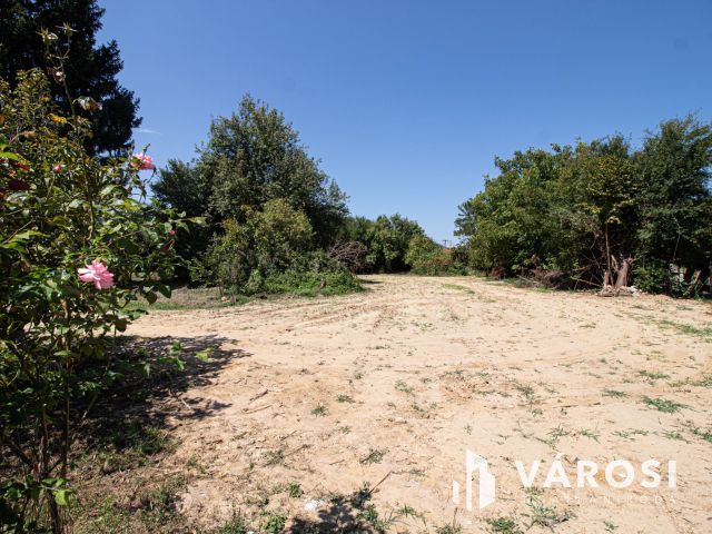 Saroktelek a szlovén határ mellett!