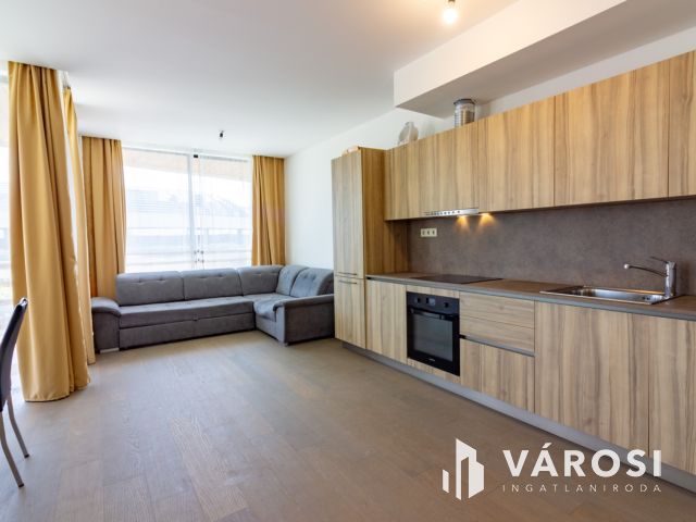 Exclusive penthouse lakás remek kilátással