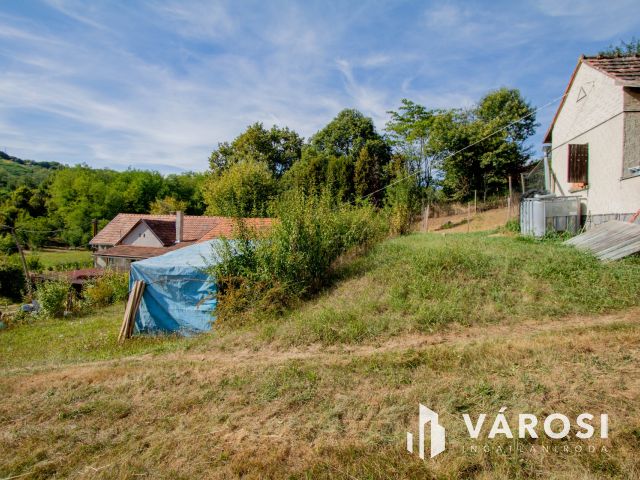 Erdő közepén, a természet szomszédságában élni jó.