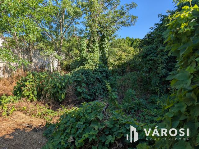 Nyaraló vagy  kis családi ház - Ön dönt!