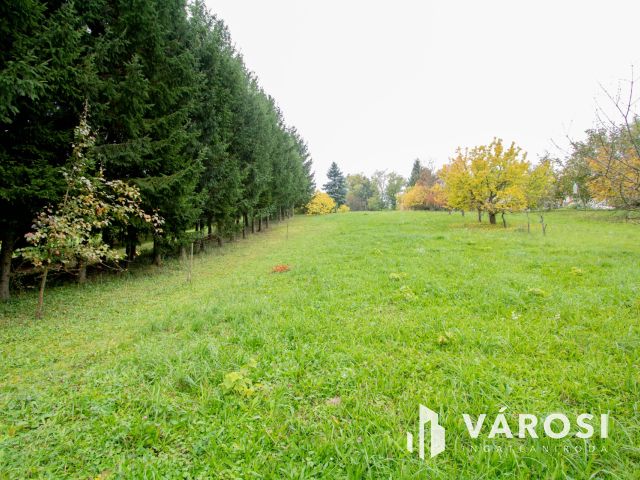 Lovásziban, kedves kis hangulatú zártkerti ingatlan eladó!