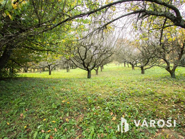 Lovásziban, kedves kis hangulatú zártkerti ingatlan eladó!