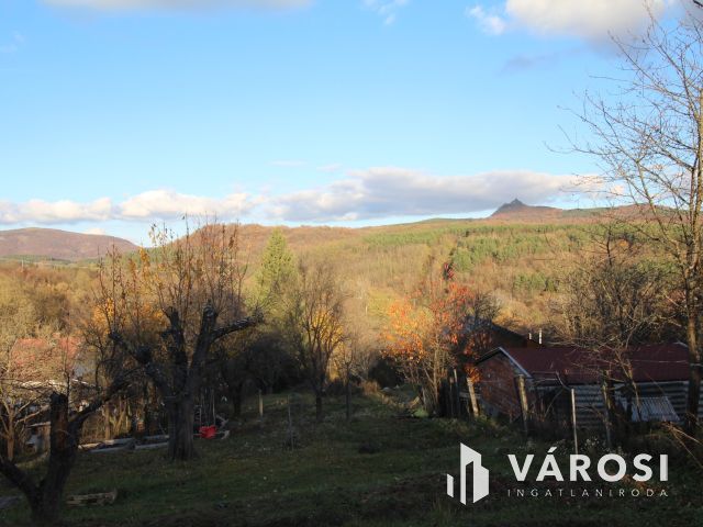 Rönkházzal együtt eladó üdülőtelek