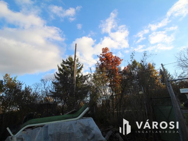 Rönkházzal együtt eladó üdülőtelek