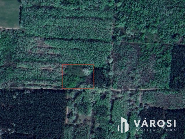 Erdei tanya Ruzsa-Öttömös határában eladó