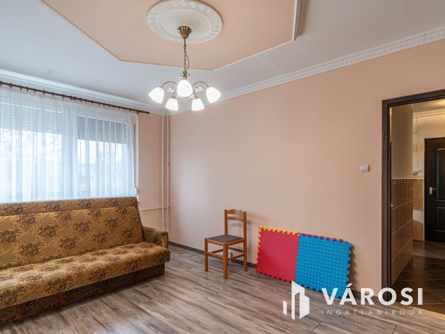 Elindult az űrverseny szegeden