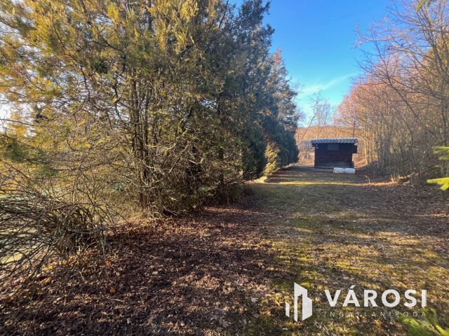 Remek elhelyezkedésű telek Pomázon!