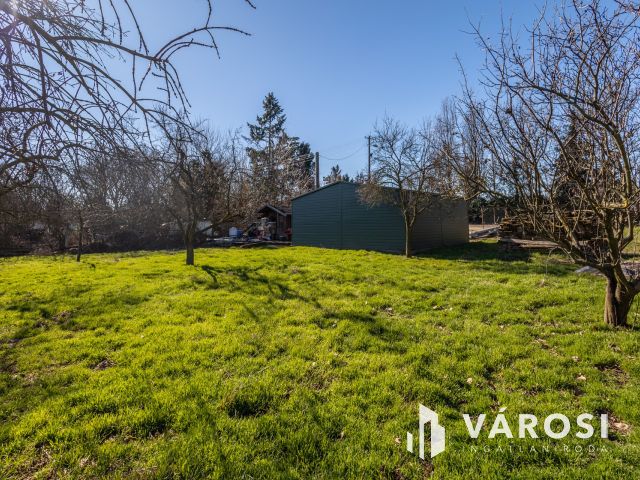 Ha szereted a napfényt, ez itt a Te kerted!