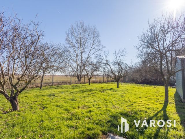 Ha szereted a napfényt, ez itt a Te kerted!