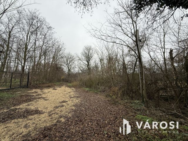 BEFEKTETÉSI LEHETŐSÉG PÁZMÁNDON - 8 TELEK, PANORÁMA