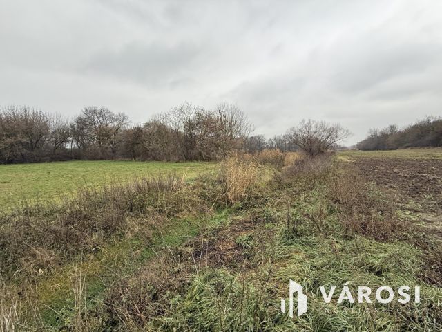BEFEKTETÉSI LEHETŐSÉG PÁZMÁNDON - 8 TELEK, PANORÁMA