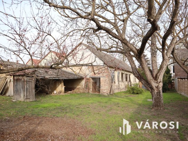 Eladó telek Szőregen, közel a Szerb templomhoz!